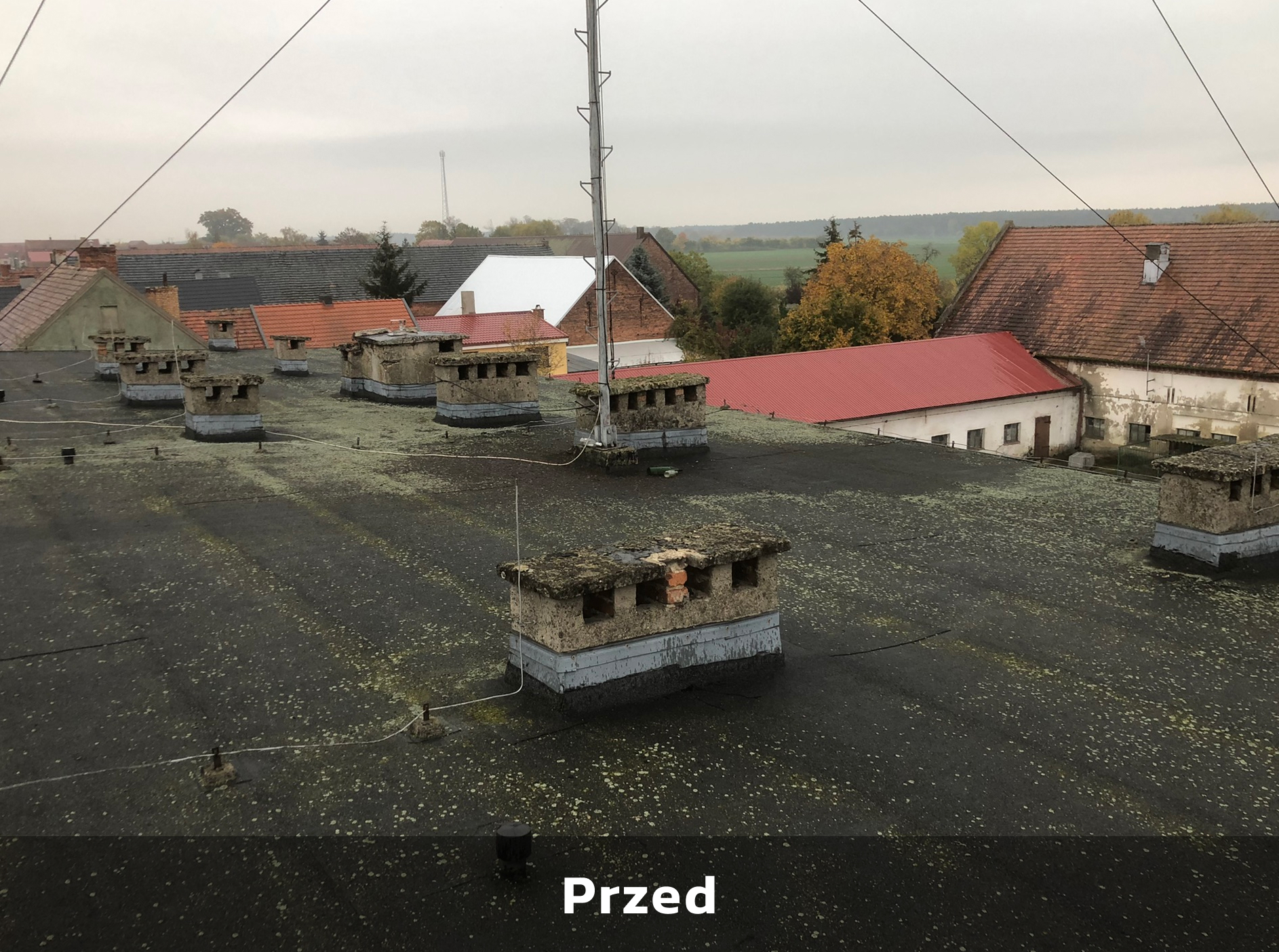 Przed-4